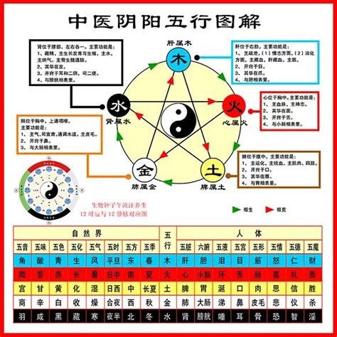 五行五官|史上最全：中医五行、五脏、五味、五色、五官、五情、五季、五。